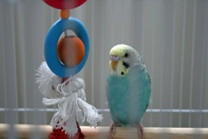 IMG_1398w