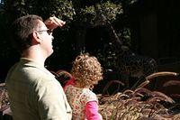 Trip to the L.A. Zoo