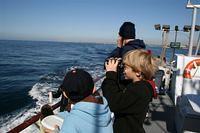 Whale Watching Field Trip